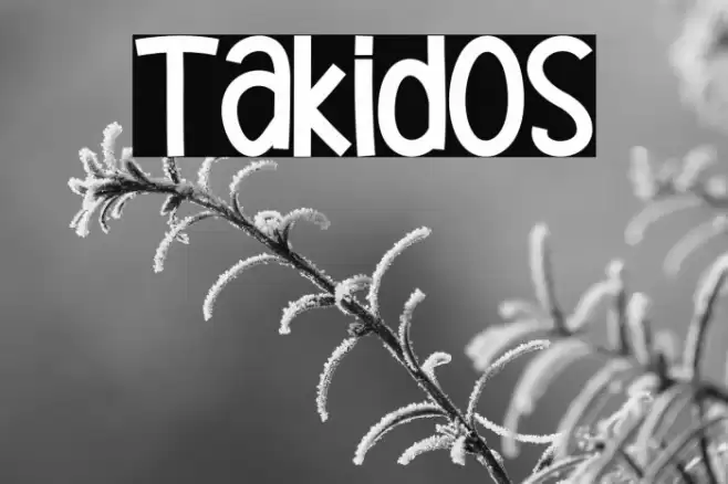 Takidos Font examples