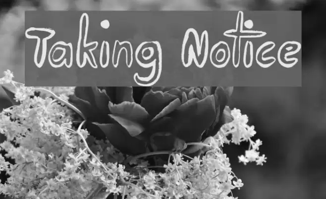 Taking Notice Font examples