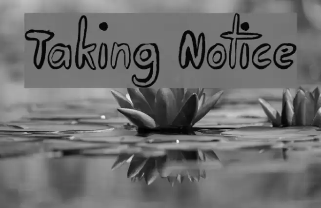 Taking Notice Font examples
