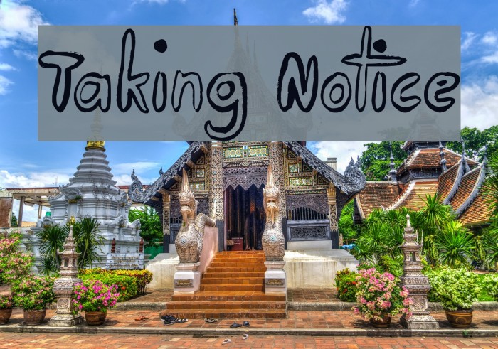Taking Notice لخطوط تنزيل examples
