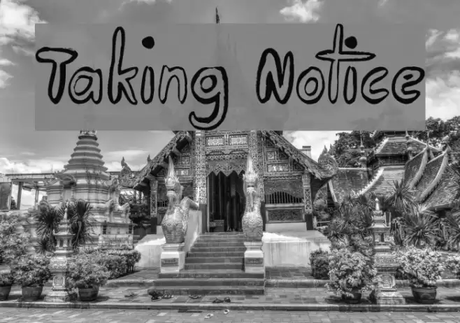 Taking Notice Font examples