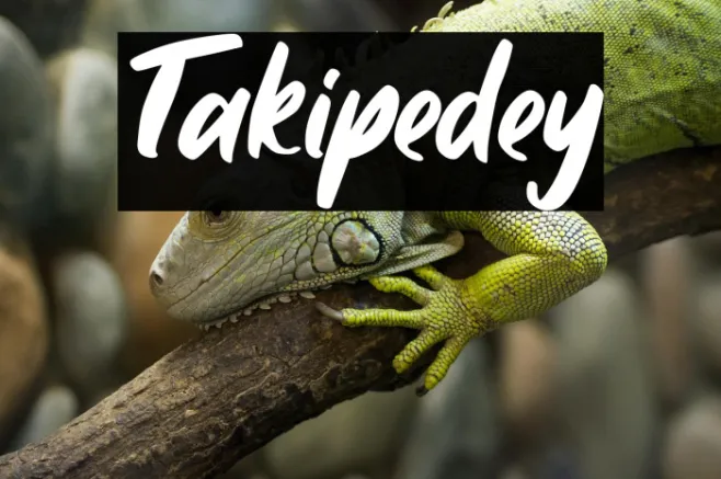 Takipedey Example 1