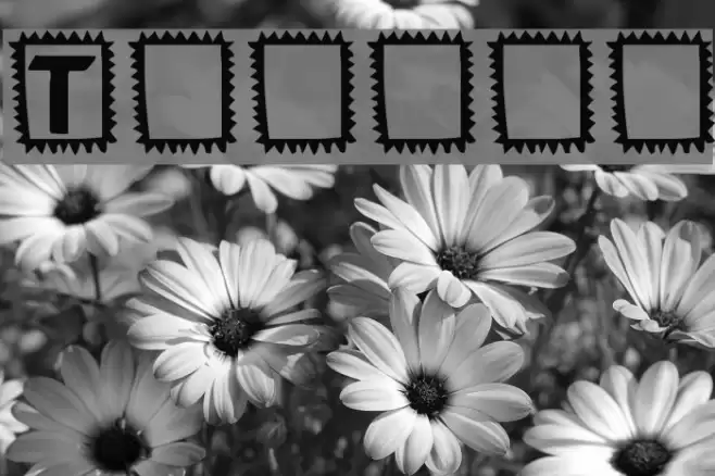 Takker Font examples