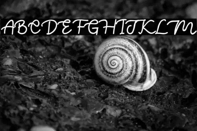 Takoyaki Шрифта examples