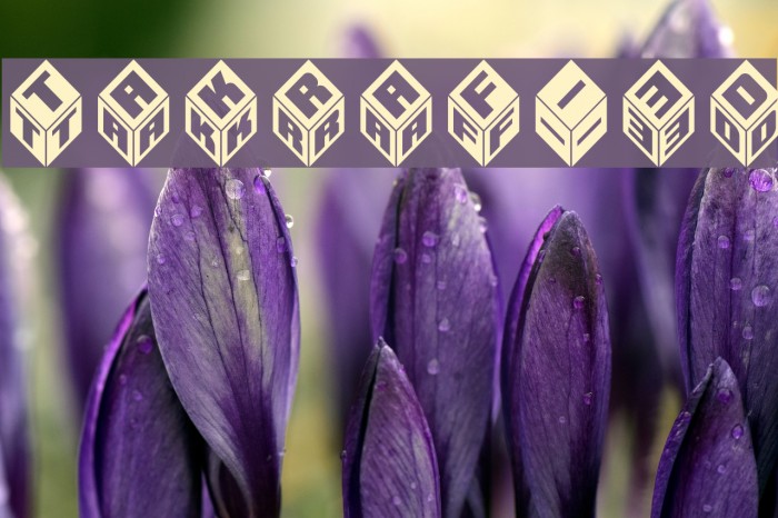 Takraf-3d Font examples
