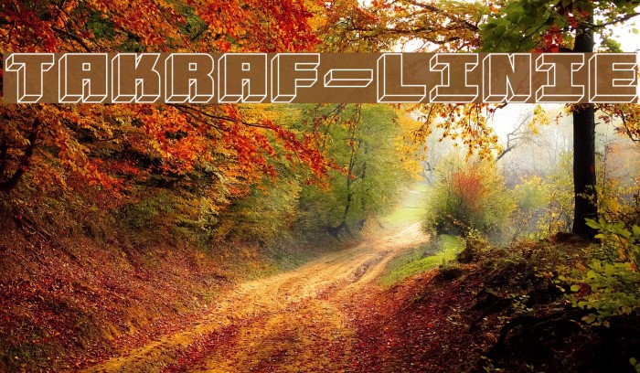 Takraf-Linie Font examples