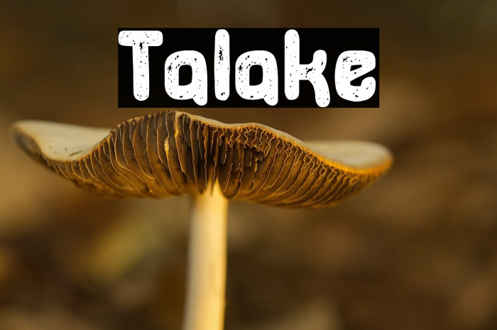 Talake Example 2