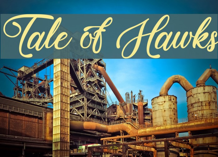 Tale of Hawks Example 1