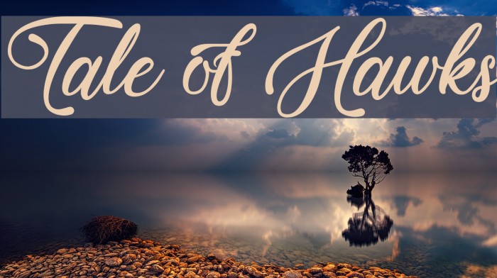 Tale of Hawks Example 2