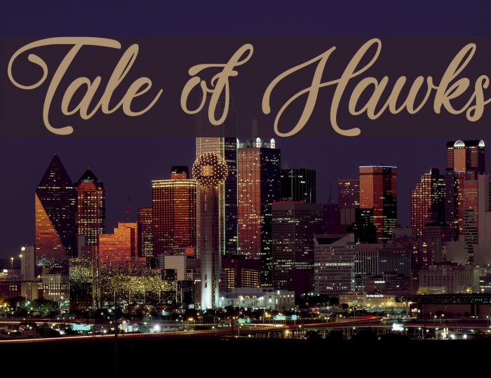 Tale of Hawks Example 3