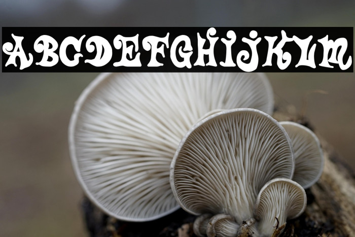 Tales Of Pain And Love Example 2