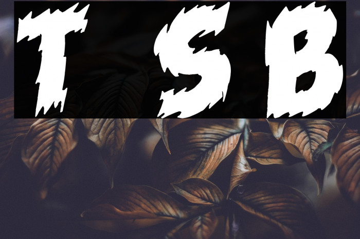 Tales of Scare Black Example 3