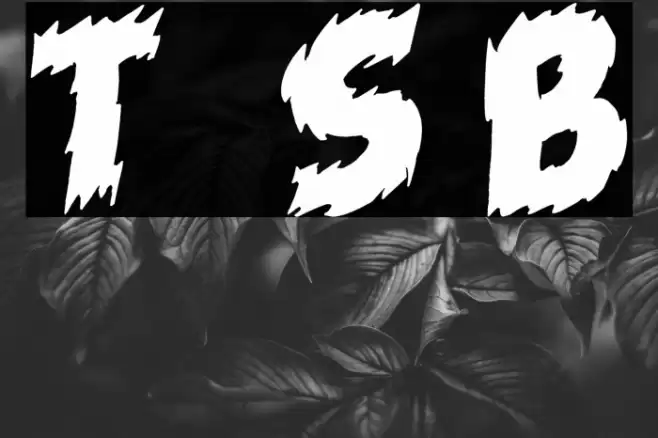 Tales of Scare Black Font examples