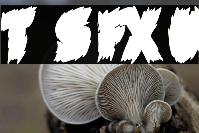 Tales of Scare FX Under Example 3