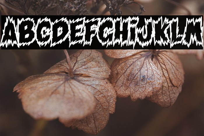 Tales of Scare FX Example 1