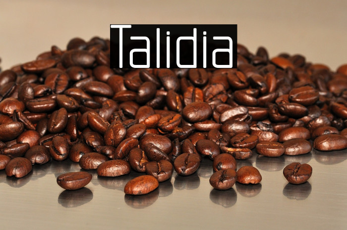 Talidia Example 1