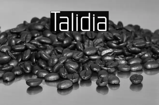 Talidia Font examples