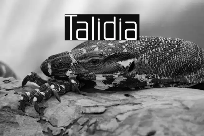 Talidia Font examples