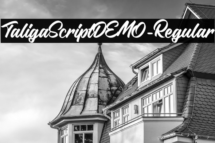 TaligaScriptDEMO-Regular Example 2