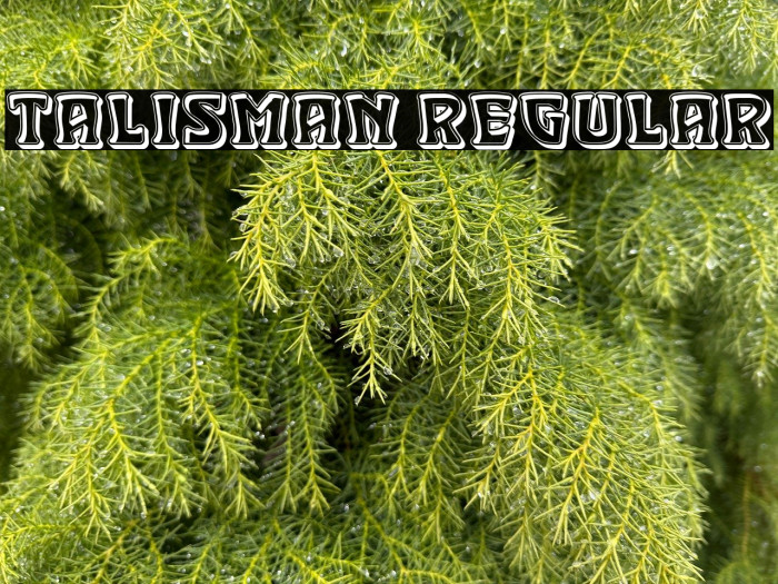 Talisman Regular Example 1