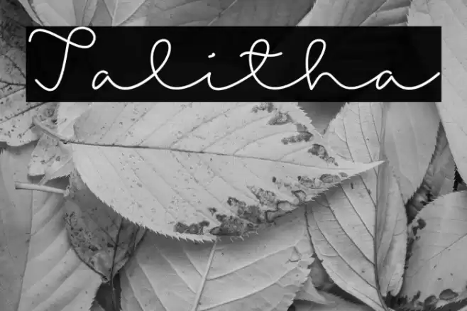Talitha Font examples