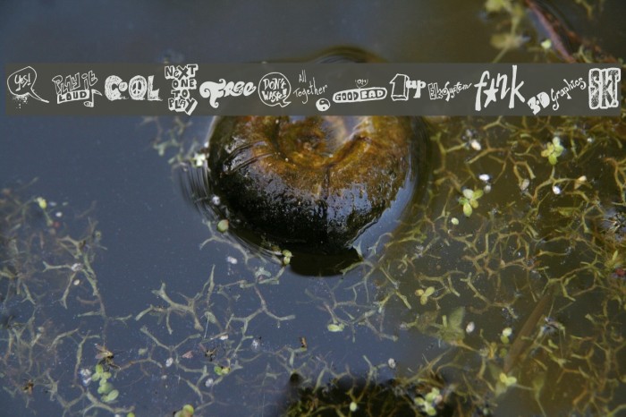 Talk of the wall Example 3