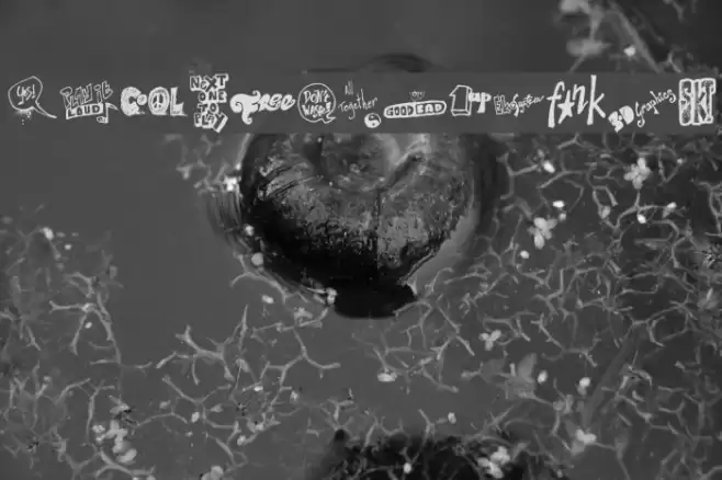 Talk of the wall Font examples