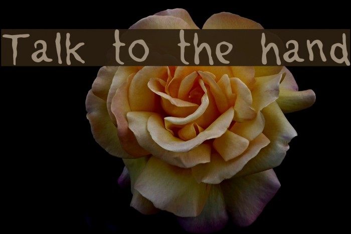 Talk to the hand Example 1