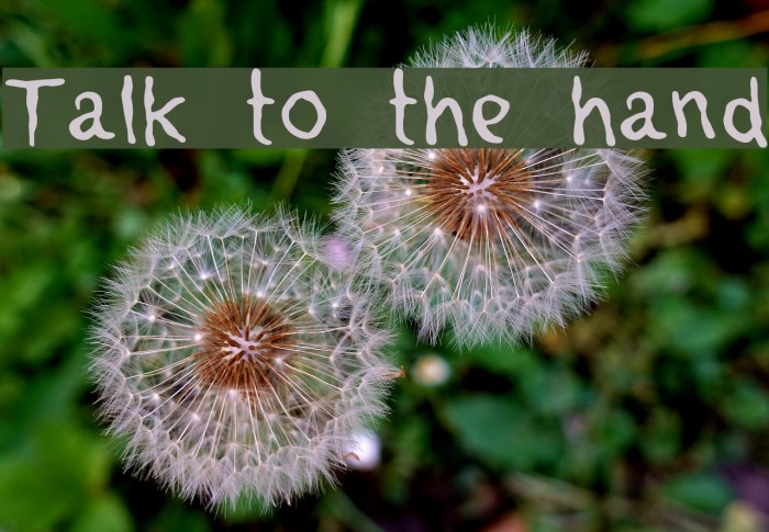 Talk to the hand Example 3