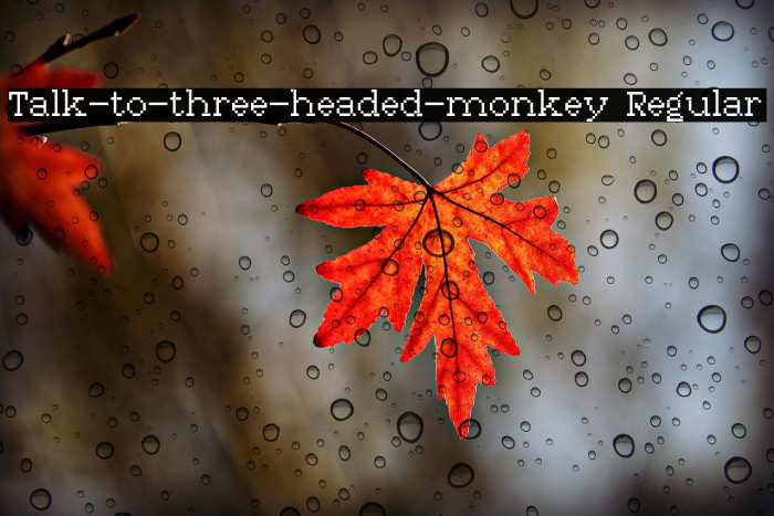 Talk-to-three-headed-monkey Regular Example 2