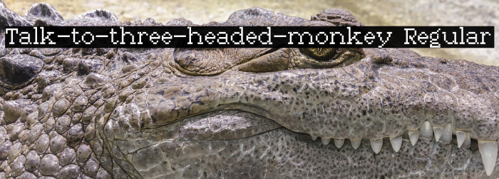 Talk-to-three-headed-monkey Regular Example 3