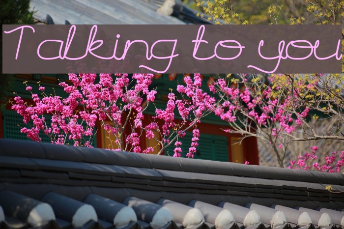 Talking to you Font examples
