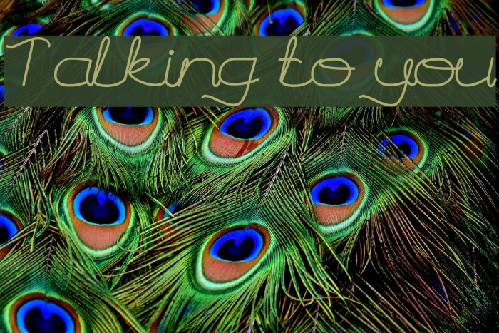 Talking to you Font examples