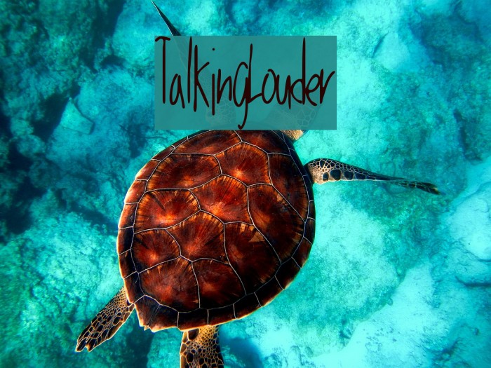 TalkingLouder Font examples