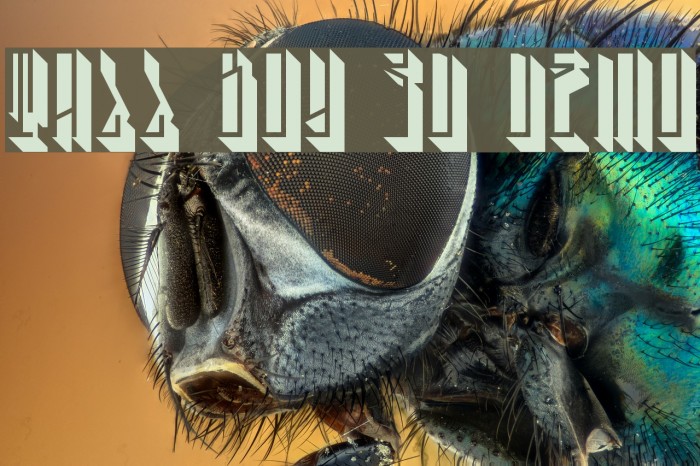 Tall Boy 3D Demo Example 1