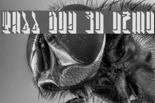 Tall Boy 3D Demo Font examples