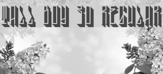 Tall Boy 3D Regular Font examples