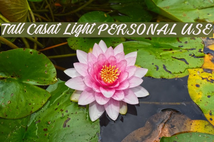 Tall Casat Light PERSONAL USE Font examples