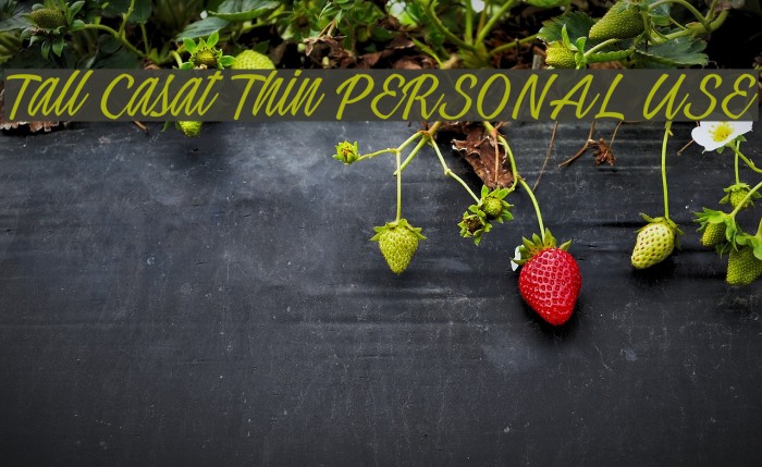 Tall Casat Thin PERSONAL USE Font examples