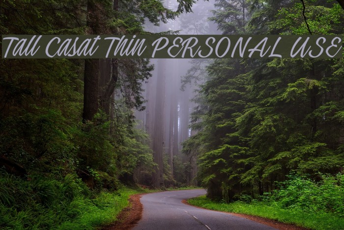 Tall Casat Thin PERSONAL USE Font examples