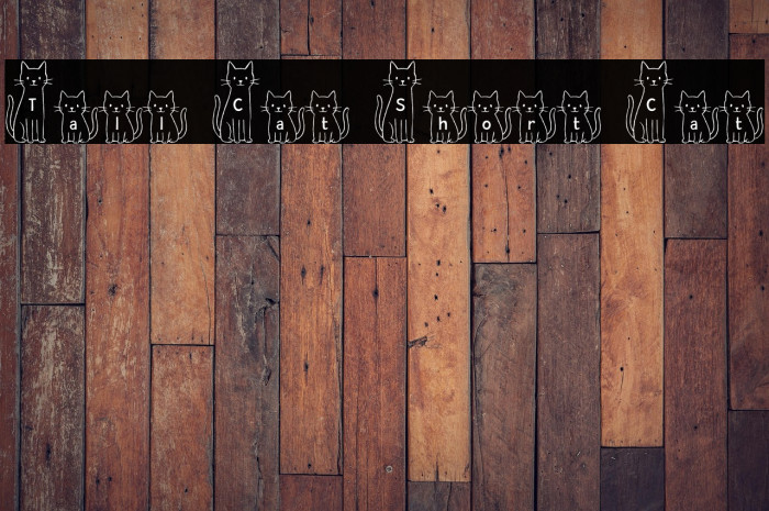 Tall Cat Short Cat Example 3