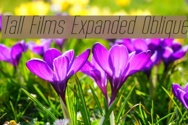 Tall Films Expanded Oblique Example 1