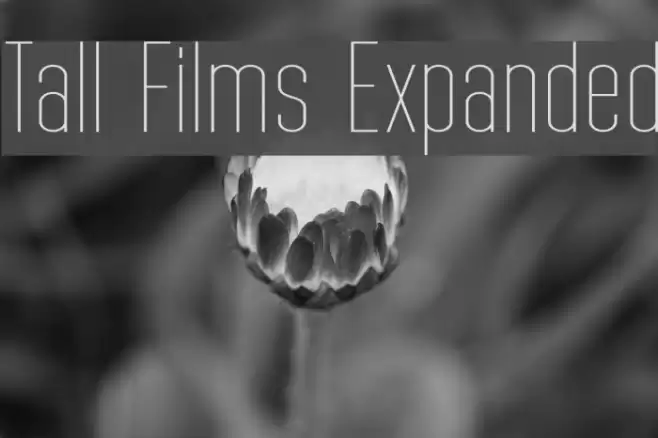 Tall Films Expanded Font examples