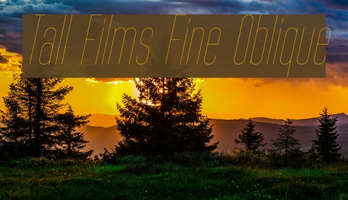 Tall Films Fine Oblique Font examples