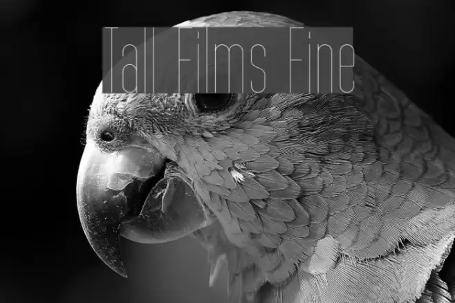 Tall Films Fine Font examples