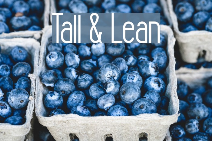 Tall & Lean Font examples