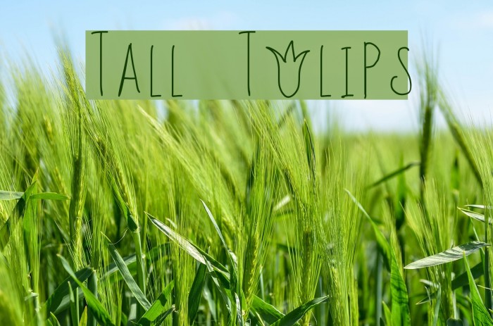 Tall Tulips Font examples