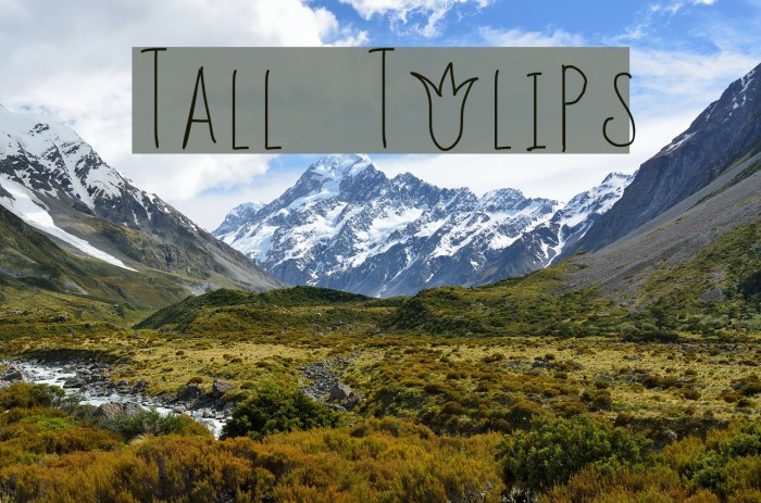 Tall Tulips Font examples