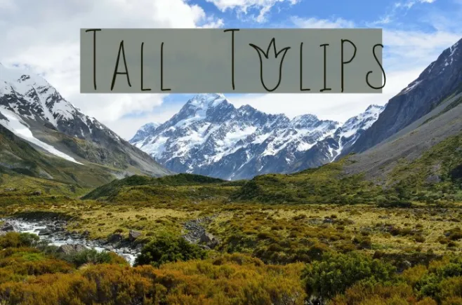 Tall Tulips Example 3