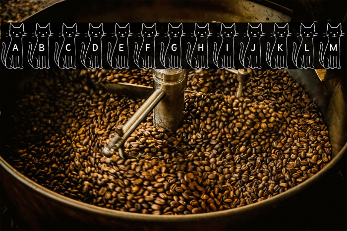 TallCatShortCat Example 3